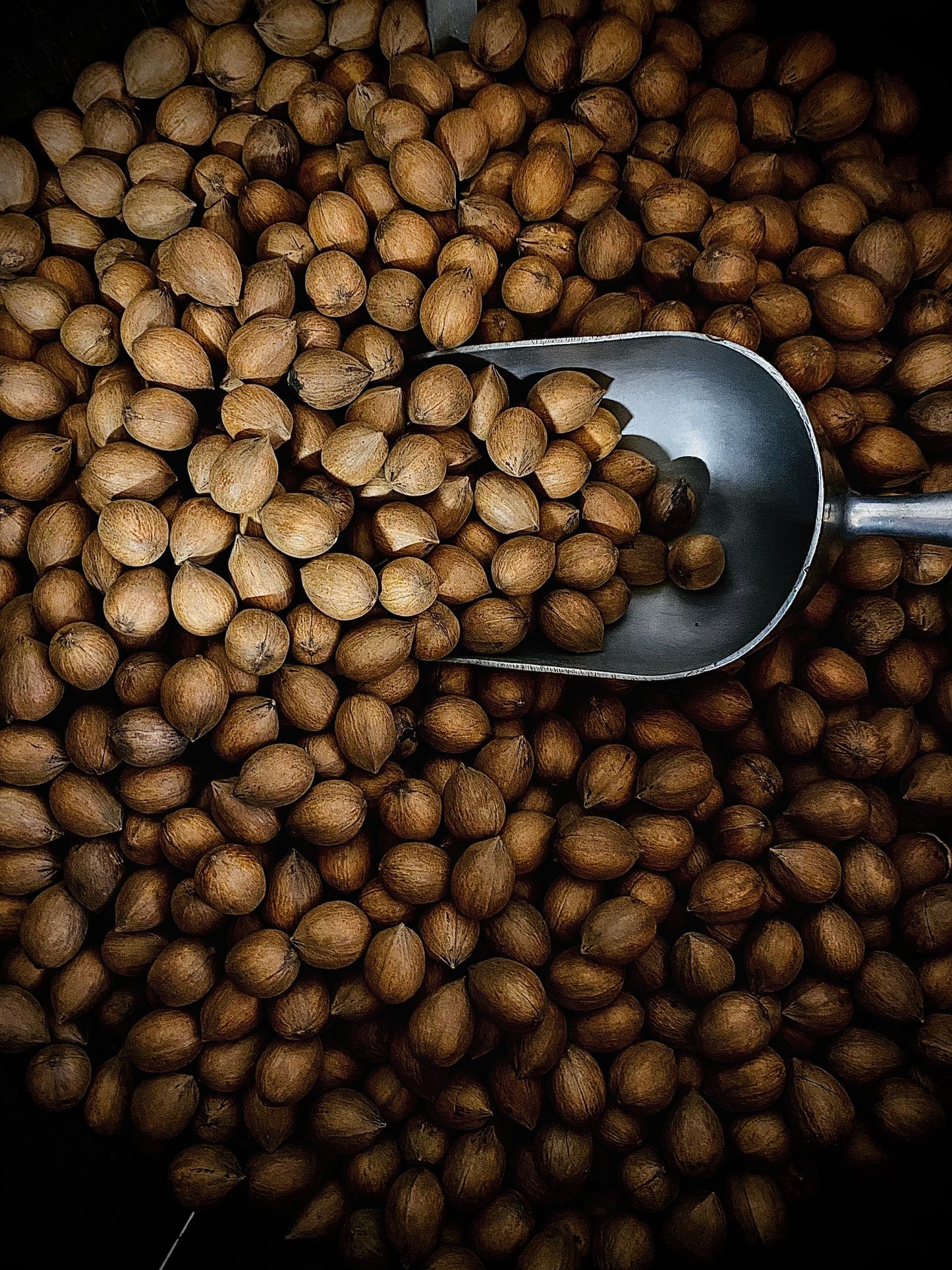 1Lb Inshell Elliott Pecans