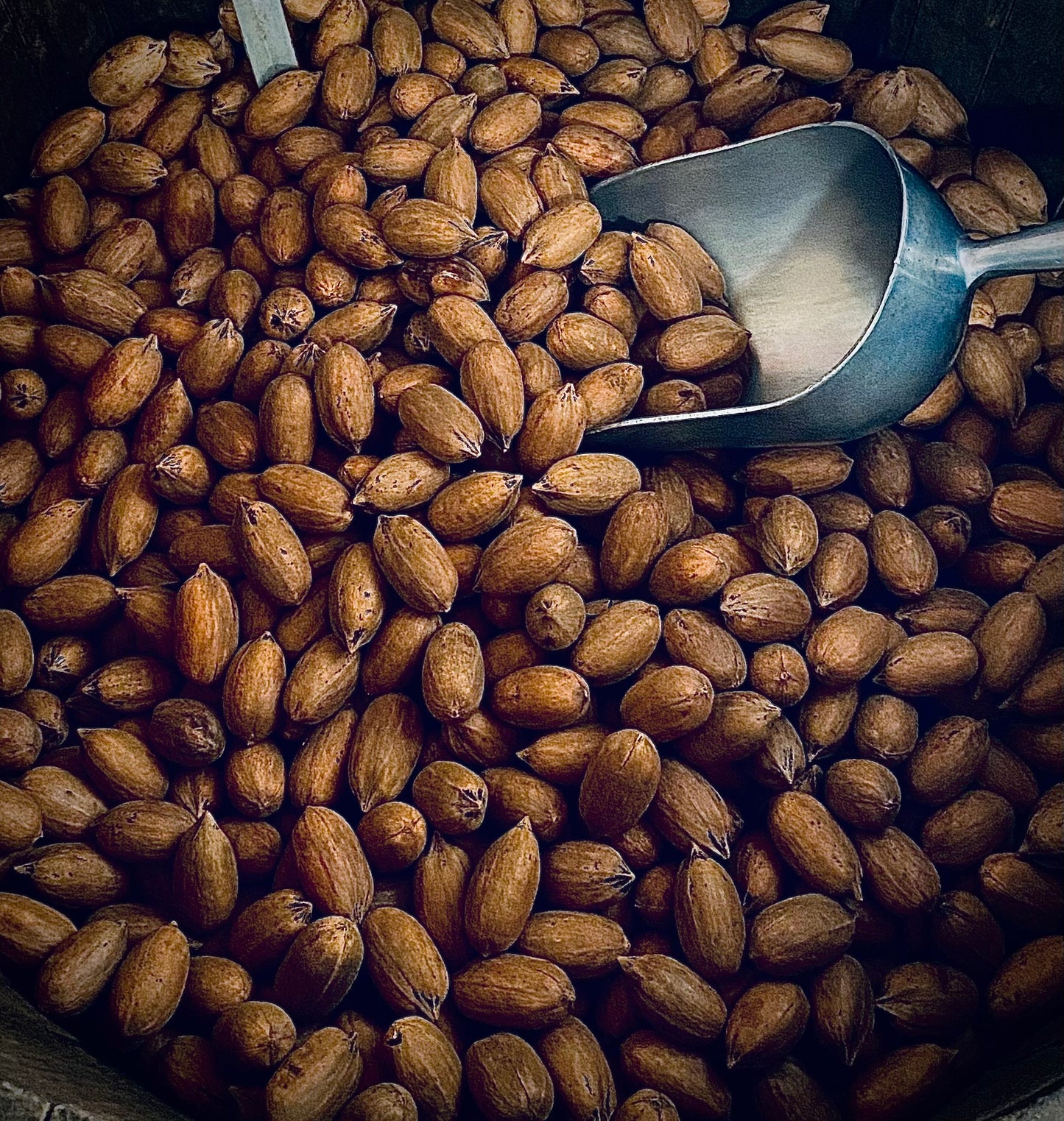 1Lb Inshell Pawnee Pecans