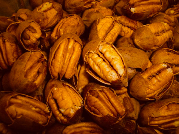 5 lb Cracked Pawnee Pecans from Dees Pecan Company