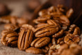 Pawnee Pecan Halves