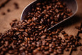 Southern Pecan "DARK" Roast Coffee