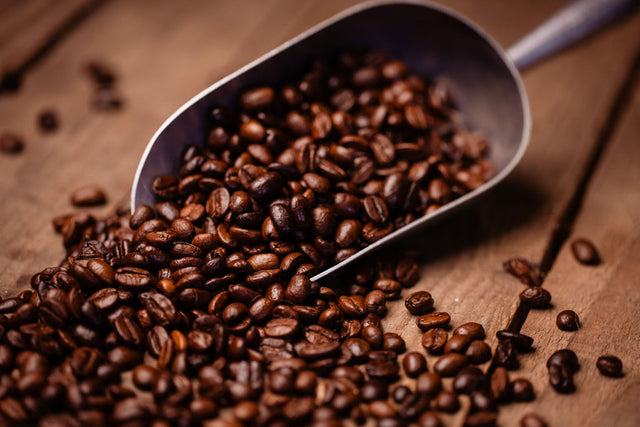 Southern DARK Roast Coffee